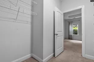 482 Malachite Ln, Chapin, SC 29036 - Photo 21