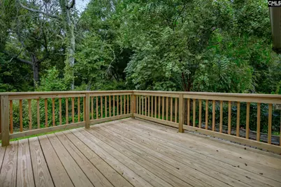 129 Scarborough Drive, Lexington, SC 29072 - Photo 63