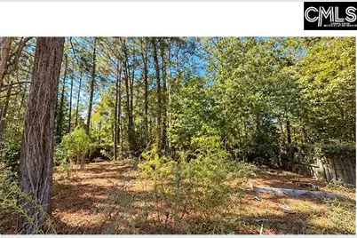 318 Water Hickory Way, Columbia, SC 29229 - Photo 17