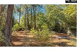 318 Water Hickory Way, Columbia, SC 29229 - Photo 17