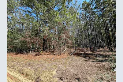 223 Mimosa Drive #1,2,4 and5, Gaston, SC 29053 - Photo 3
