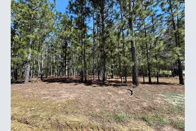 223 Mimosa Drive #1,2,4 and5, Gaston, SC 29053 - Photo 1