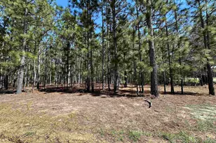 223 Mimosa Dr, Gaston, SC 29053 - Photo 1