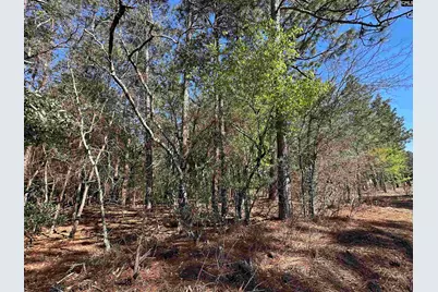 Lot 4 Mimosa Drive #4, Gaston, SC 29053 - Photo 3