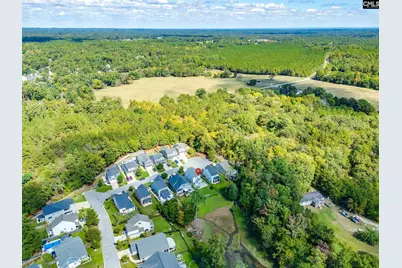 620 Calabria Court, Chapin, SC 29036 - Photo 45