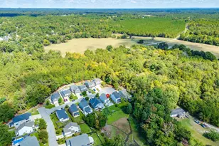 620 Calabria Ct, Chapin, SC 29036 - Photo 45
