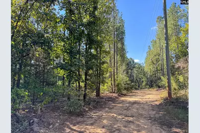 0 Lila Drive, Batesburg, SC 29006 - Photo 3
