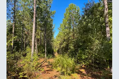 0 Lila Drive, Batesburg, SC 29006 - Photo 5