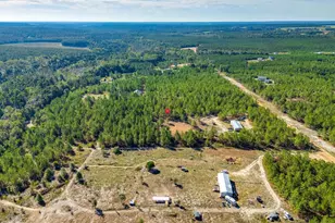 442 Kelly Day Rd, Pelion, SC 29123 - Photo 39