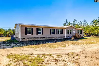 442 Kelly Day Road, Pelion, SC 29123 - Photo 3