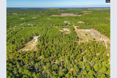 442 Kelly Day Road, Pelion, SC 29123 - Photo 41