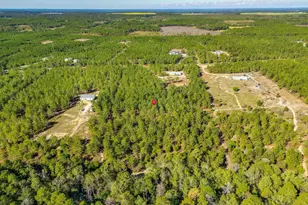 442 Kelly Day Rd, Pelion, SC 29123 - Photo 41