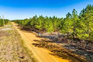 442 Kelly Day Rd, Pelion, SC 29123 - Photo 45