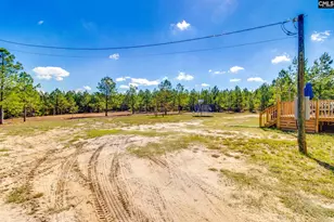 442 Kelly Day Rd, Pelion, SC 29123 - Photo 33