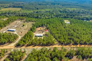 442 Kelly Day Rd, Pelion, SC 29123 - Photo 37