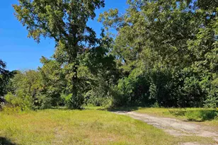 15 Collins St, Manning, SC 29102 - Photo 1