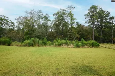 410 Pepperbush Lane, Lexington, SC 29072 - Photo 3