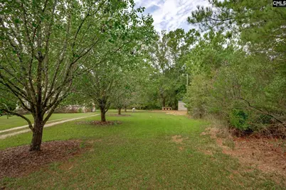227 Countryside Drive, Prosperity, SC 29127 - Photo 57