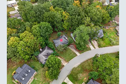 108 Brafield Place, Irmo, SC 29063 - Photo 39