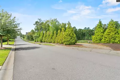 215 Sterling Brook Drive, Lexington, SC 29072 - Photo 49