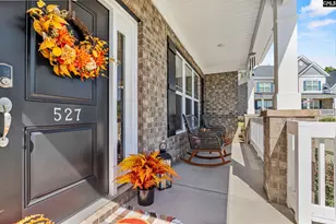 527 Radnor Hunt Ct, Gilbert, SC 29054 - Photo 3