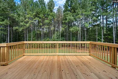 607 Zelkova Drive, York, SC 29745 - Photo 29