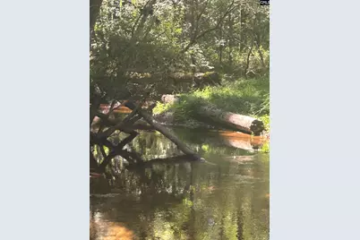 0 Swamp Rabbit Rd #Tract A, Leesville, SC 29070 - Photo 31