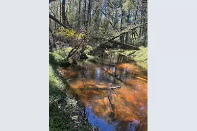 0 Swamp Rabbit Rd #Tract A, Leesville, SC 29070 - Photo 23