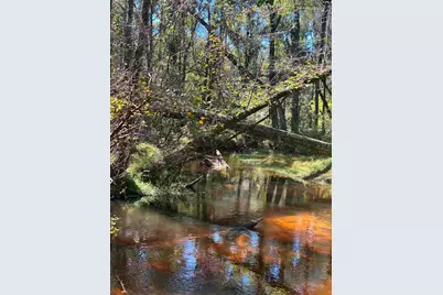 0 Swamp Rabbit Rd #Tract A, Leesville, SC 29070 - Photo 21