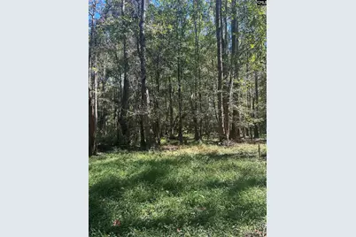0 Swamp Rabbit Rd #Tract A, Leesville, SC 29070 - Photo 39