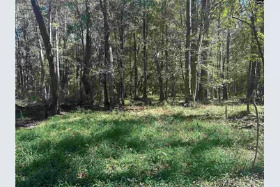 0 Swamp Rabbit Rd #Tract A, Leesville, SC 29070 - Photo 37
