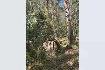 0 Swamp Rabbit Rd #Tract A, Leesville, SC 29070 - Photo 29