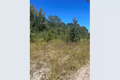 0 Swamp Rabbit Rd #Tract A, Leesville, SC 29070 - Photo 45