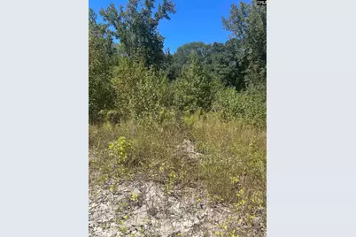 0 Swamp Rabbit Rd #Tract A, Leesville, SC 29070 - Photo 47