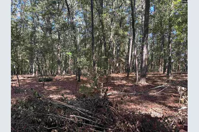 0 Swamp Rabbit Rd #Tract A, Leesville, SC 29070 - Photo 3