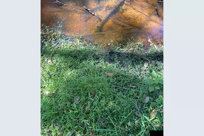 0 Swamp Rabbit Rd #Tract A, Leesville, SC 29070 - Photo 25