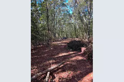 0 Swamp Rabbit Rd #Tract A, Leesville, SC 29070 - Photo 5