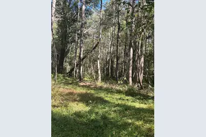 0 Swamp Rabbit Rd #Tract A, Leesville, SC 29070 - Photo 27