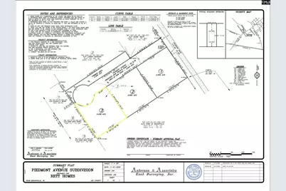 Tbd Piedmont Rd Lot 3, Bishopville, SC 29010 - Photo 3