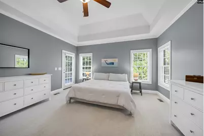 311 Lookout Hill Drive, Chapin, SC 29036 - Photo 21