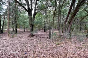 Lot A Warbonnet Rd, Salley, SC 29137 - Photo 1