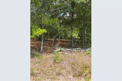 Lot B Warbonnet Road, Salley, SC 29137 - Photo 1