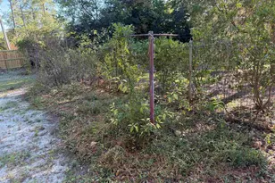 6313 Pinehill Rd, Columbia, SC 29206 - Photo 21