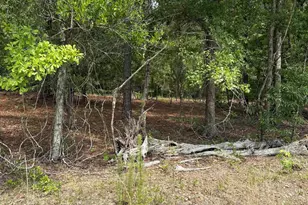 Lot C Warbonnet Rd, Salley, SC 29137 - Photo 1