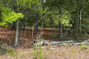Lot D Warbonnet Rd, Salley, SC 29137 - Photo 1
