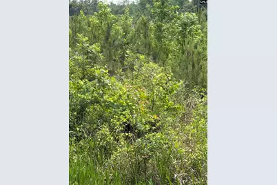 Lot E Warbonnet Road, Salley, SC 29137 - Photo 3