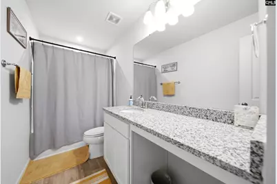 663 Oak Branch Place, Blythewood, SC 29016 - Photo 11