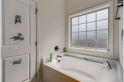 191 Rossmore Drive, Cayce, SC 29033 - Photo 21