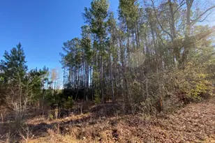 606 Stacey Bridge Rd, North, SC 29118 - Photo 1