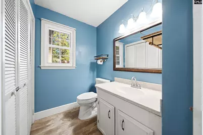 336 Cockspur Road, Irmo, SC 29063 - Photo 27